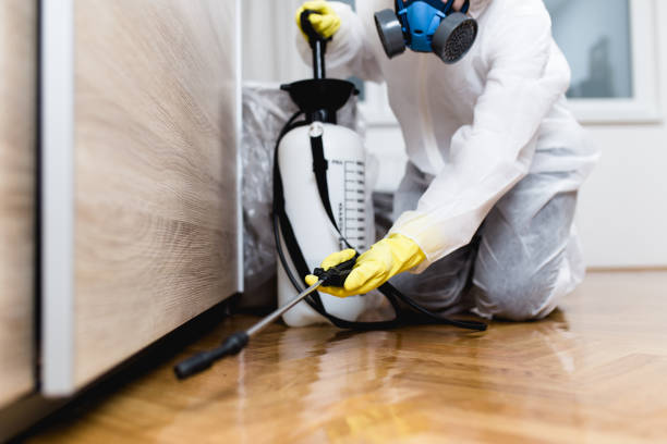 Best Pest Control Near Me  in Ballville, OH