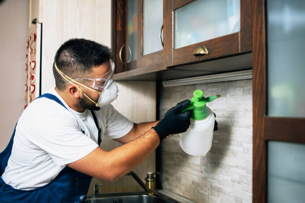 Best Bed Bug Extermination  in Ballville, OH