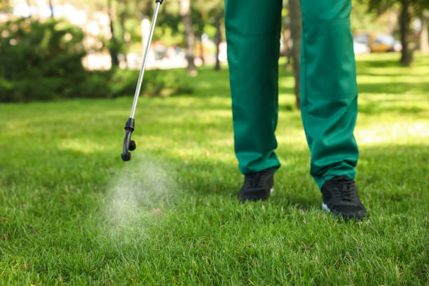 Best Pest Prevention Services  in Ballville, OH