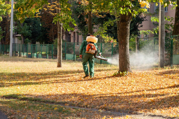 Best Commercial Pest Control Services  in Ballville, OH