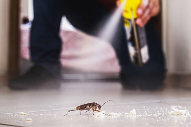 Best Wildlife Control Services  in Ballville, OH