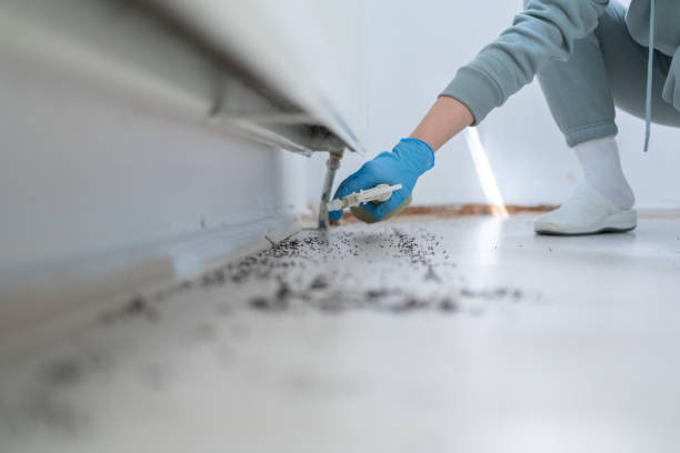 Best Residential Pest Control  in Ballville, OH