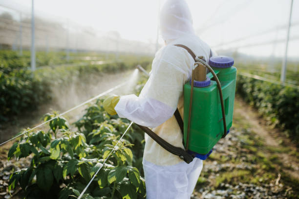 Best Ant Control Services  in Ballville, OH